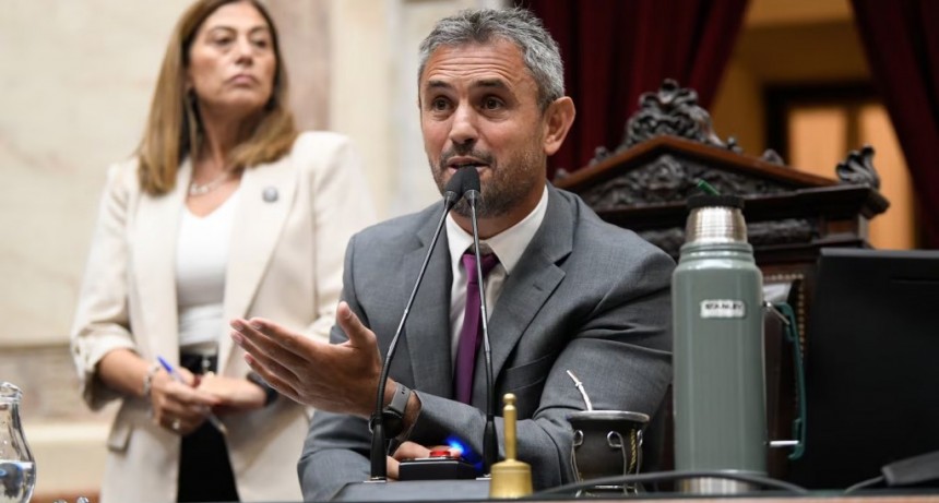 Menem acusa al Congreso de 