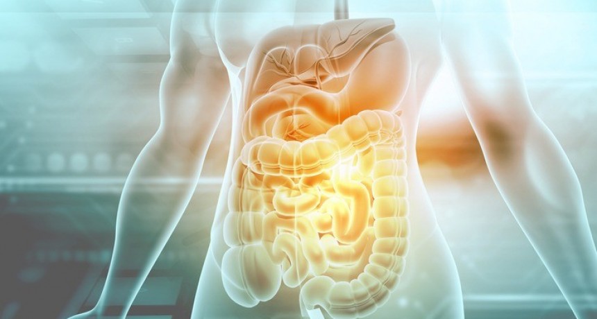 El silencioso avance de las enfermedades intestinales: cómo impacta el estilo de vida moderno en la salud digestiva
