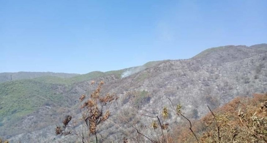 Incendio forestal en La Cocha moviliza un amplio operativo de emergencia