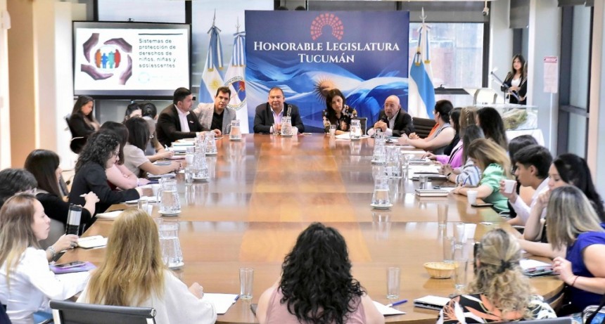 Convocan a colegios profesionales para analizar reformas a la ley de niñez