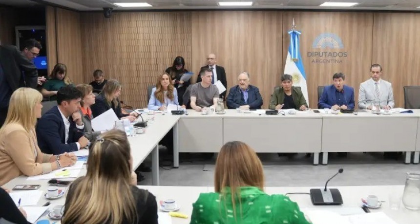 Diputados opositores impulsan una ANDIS colegiada y con voz de las organizaciones de discapacidad