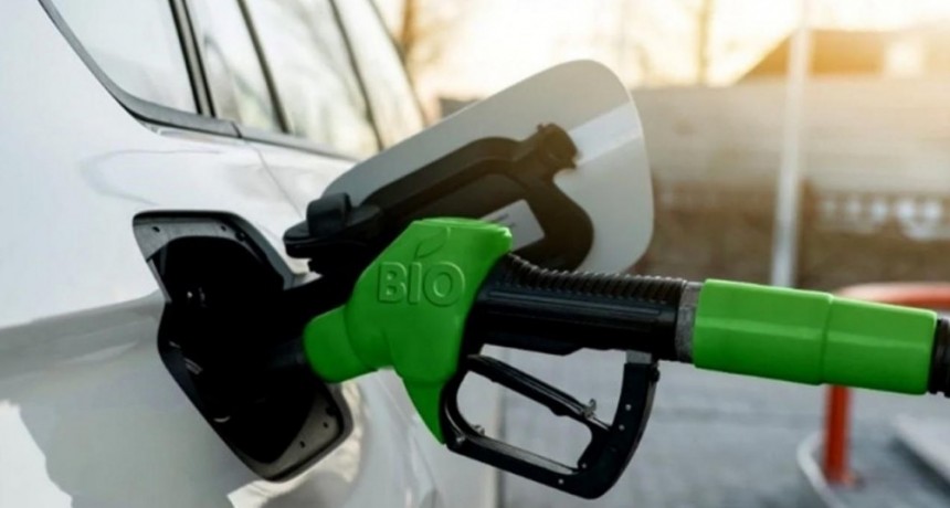 El Gobierno fija posición sobre los biocombustibles: propone una tregua hasta 2027 y una transición al mercado libre