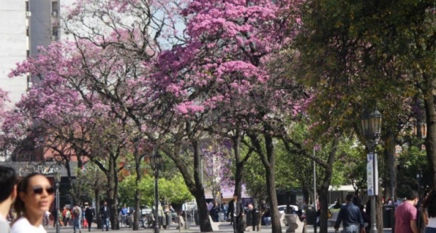 Tucumán se prepara para un jueves caluroso y un fin de semana con tormentas