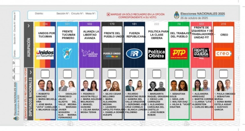 Guía completa para votar con la Boleta Única Papel este domingo
