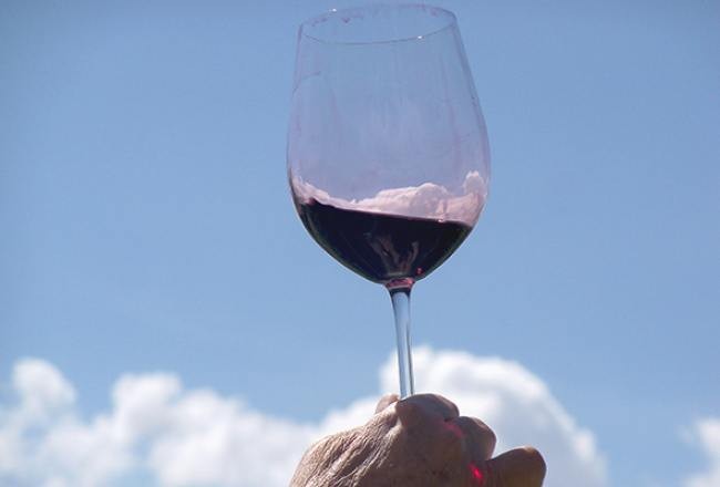 Cinco razones para elegir vinos tucumanos
