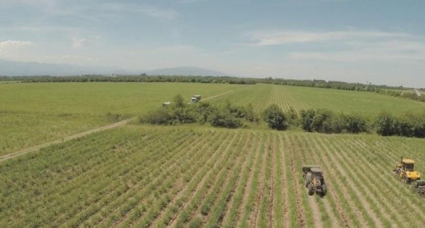 Concluye exitosamente la zafra tucumana 2023