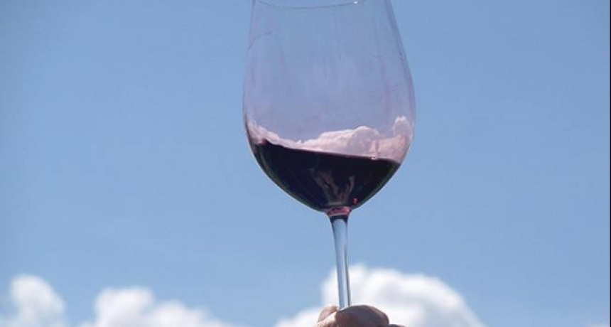 Cinco razones para elegir vinos tucumanos