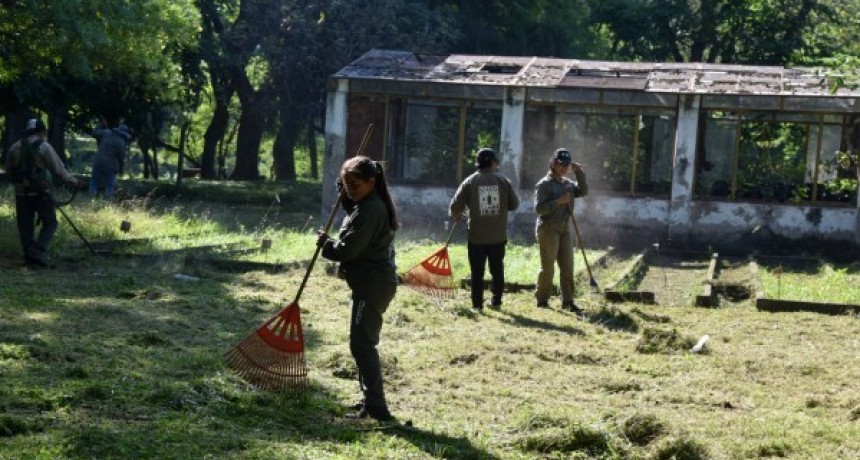 La Municipalidad de San Miguel de Tucumán inicia la restauración de su vivero