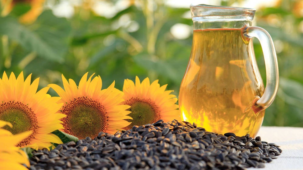 Luego de 18 años, Argentina logra récord en exportaciones de aceite y subproductos de girasol