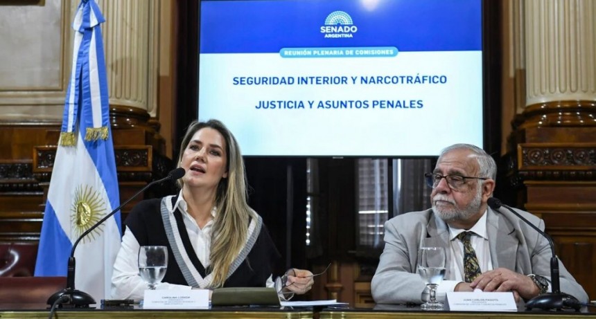 Senado: reflotan un proyecto de ley contra las denuncias falsas
