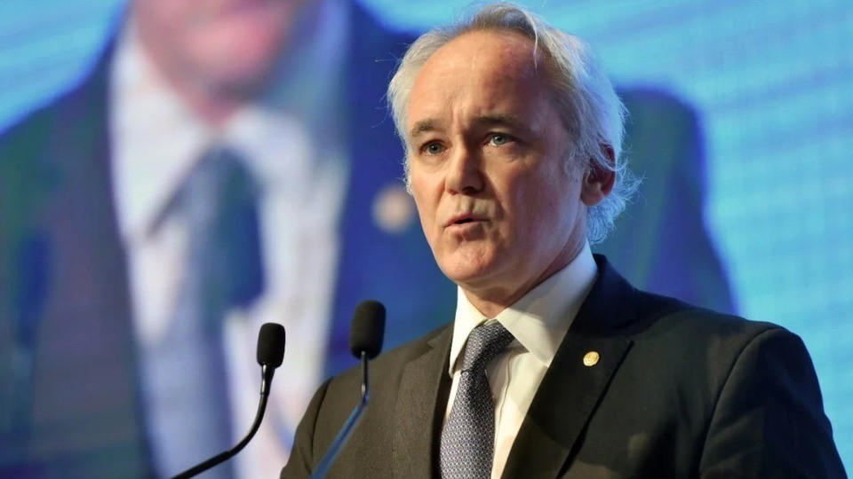 Werning: con el avance del plan económico, las restricciones cambiarias 