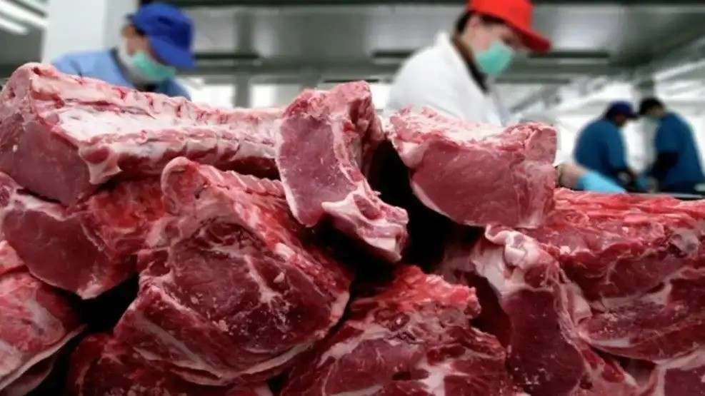 Carne, aluminio y cítricos: los productos argentinos que ganarán con el acuerdo comercial con EE.UU.