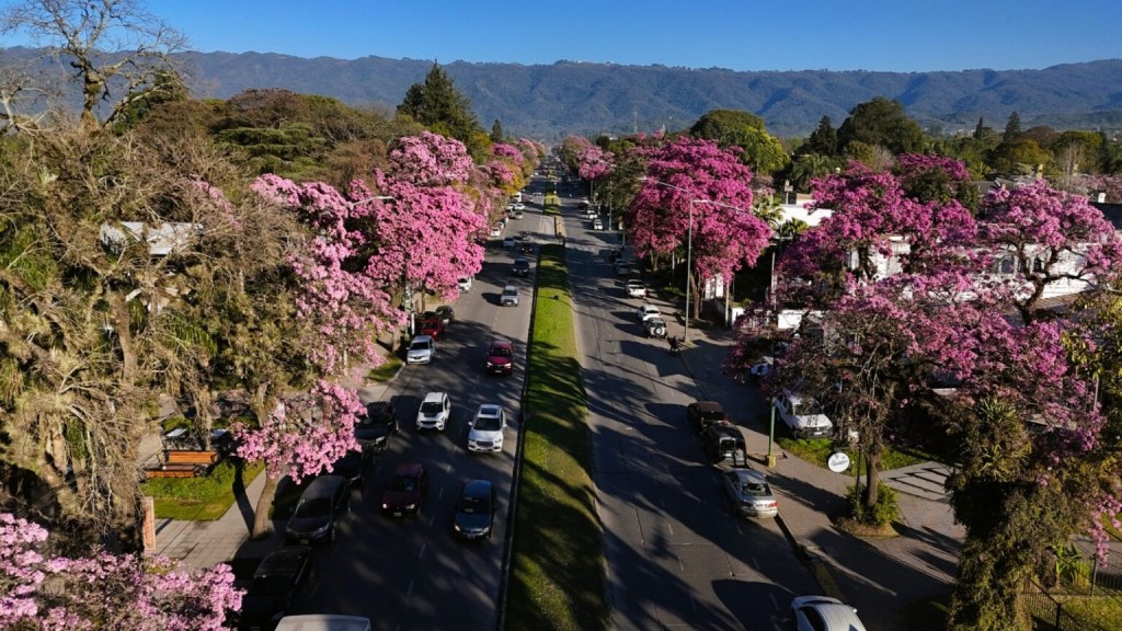 Entra en vigencia el polémico Código de Ordenamiento Urbano de Yerba Buena