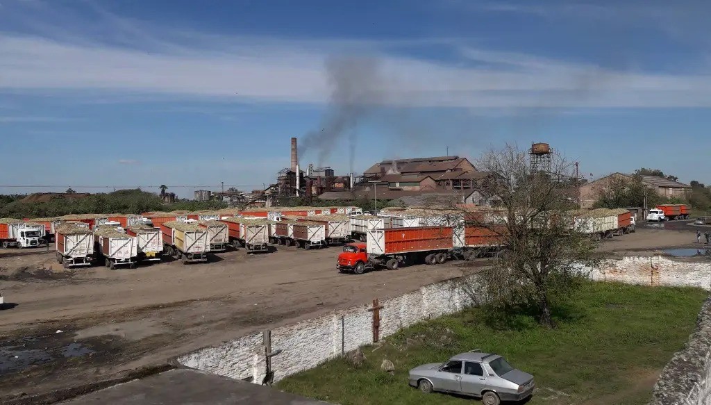 Una década de presunta evasión: el complejo entramado del Ingenio La Trinidad que investiga la Justicia