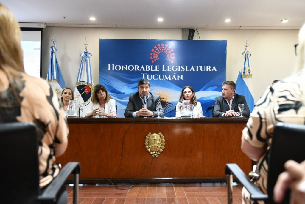 Presentan en la Legislatura un programa pionero para proteger a la niñez en entornos digitales