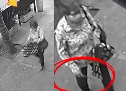 Indignación en Barrio Norte tras el robo de plantas que embellecían la vereda de un comercio