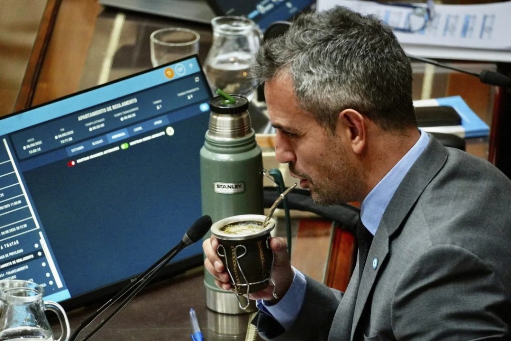 La nueva estructura del poder: Menem presidirá una Cámara con 127 nuevos diputados