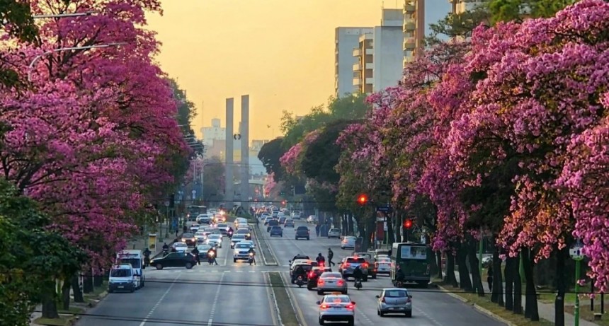 Calor en ascenso: Tucumán afronta una semana de temperaturas variables y tormentas