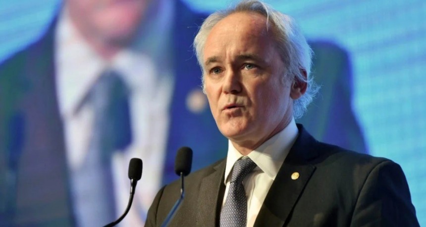 Werning: con el avance del plan económico, las restricciones cambiarias 