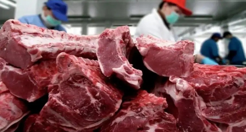 Carne, aluminio y cítricos: los productos argentinos que ganarán con el acuerdo comercial con EE.UU.