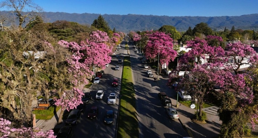Entra en vigencia el polémico Código de Ordenamiento Urbano de Yerba Buena