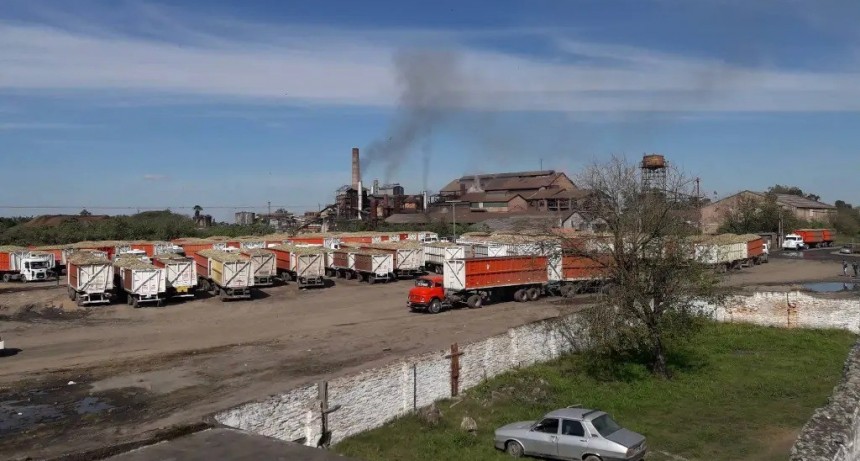 Una década de presunta evasión: el complejo entramado del Ingenio La Trinidad que investiga la Justicia