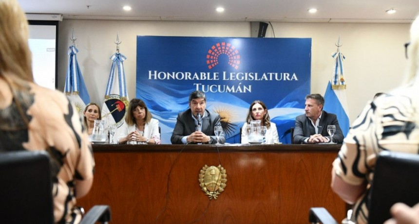 Presentan en la Legislatura un programa pionero para proteger a la niñez en entornos digitales