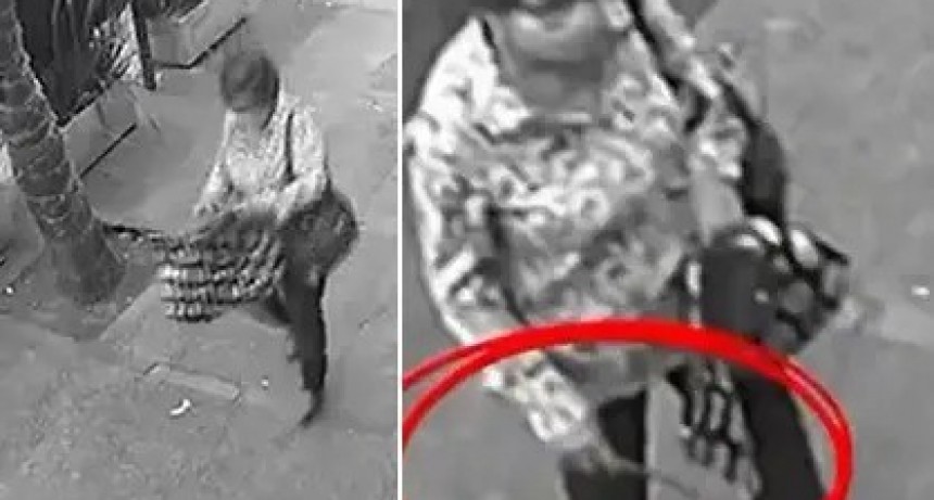 Indignación en Barrio Norte tras el robo de plantas que embellecían la vereda de un comercio