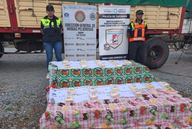 Operativo Lapacho: secuestran más de 13 kilos de cocaina