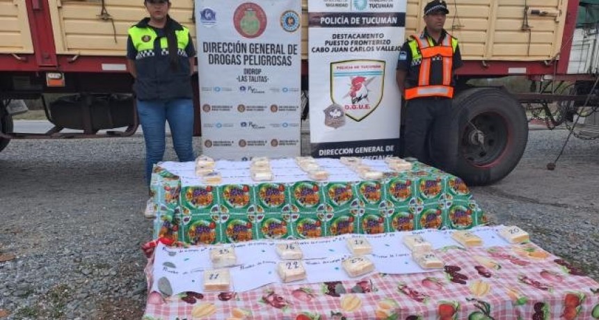 Operativo Lapacho: secuestran más de 13 kilos de cocaina