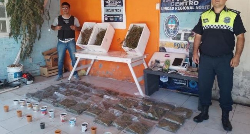 La Policía desmanteló un almacén y un laboratorio de marihuana