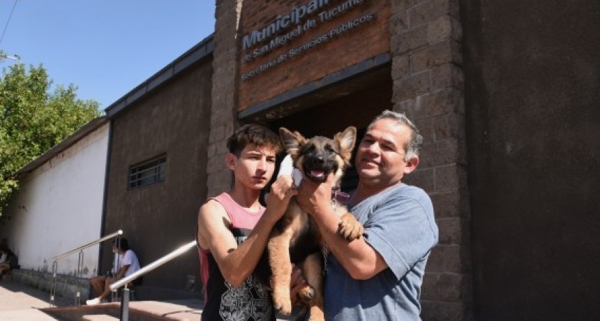 La Municipalidad lanzó una campaña de adopción responsable de mascotas