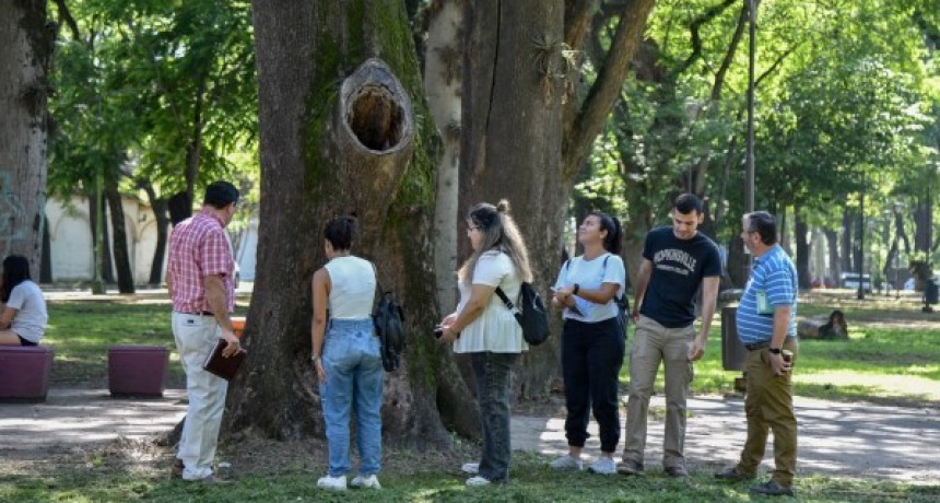El Municipio avanza con un relevamiento del arbolado urbano en la capital para prevenir accidentes