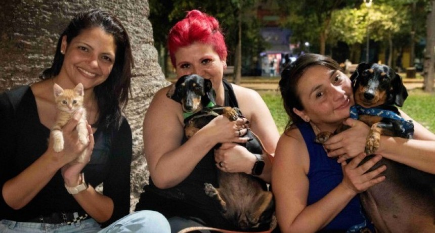 No al abandono: la Municipalidad de San Miguel de Tucumán realizará una jornada de adopción de mascotas