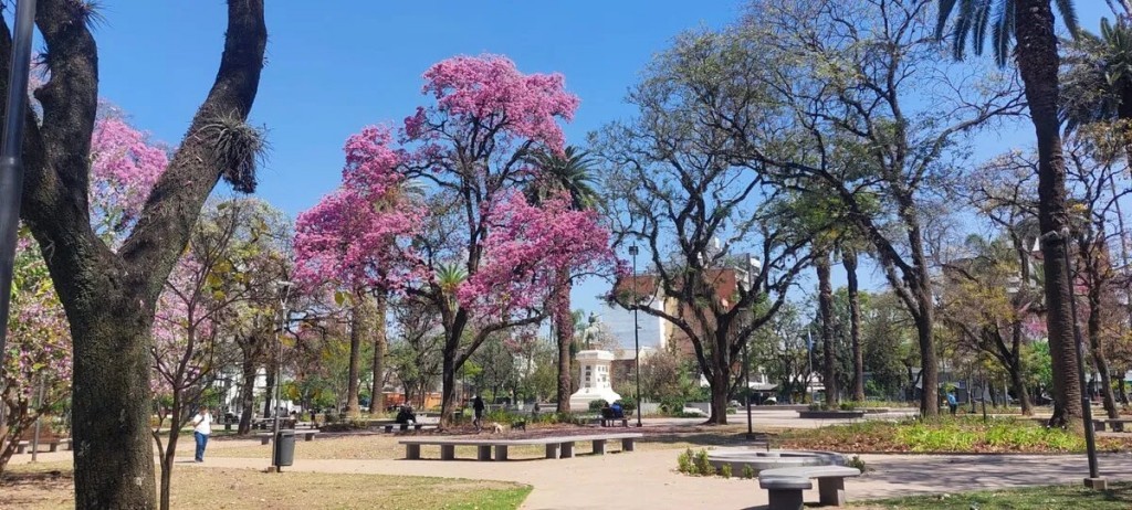 Tiempo:  cómo estará la jornada de este viernes en Tucumán