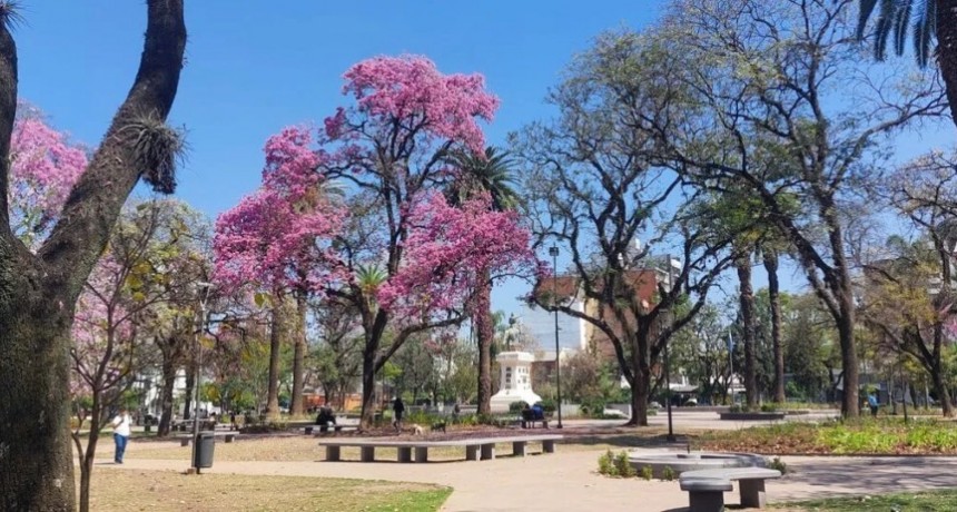 Tiempo:  cómo estará la jornada de este viernes en Tucumán