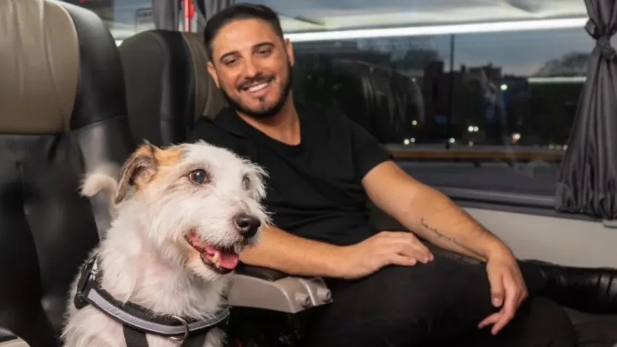 Un nuevo pasajero a bordo: regulan el traslado de mascotas en el transporte terrestre de larga distancia