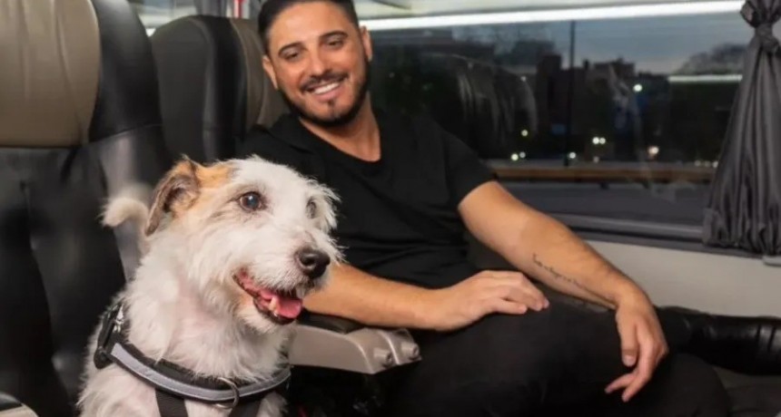 Un nuevo pasajero a bordo: regulan el traslado de mascotas en el transporte terrestre de larga distancia